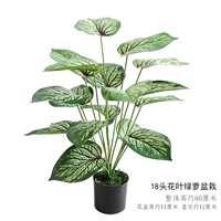 Рисовые белые 18 цветов и зеленых листовых горшечных растений