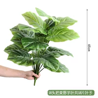 18 головы галстука листья диких таро