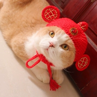 Fortune Jinbao Transformation Hat Pet кошка кошка кошка лунная шляпа британская короткая красивая короткая кошачья головная ура