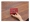 2019 mới châu Âu và Mỹ thương hiệu lớn net đỏ nữ ví rắn thẻ organ gói kinh doanh túi da thẻ mini gói nữ - Chủ thẻ