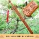 100см Shuanglong Sword (подлинная кондор персич дерево)