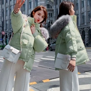 Áo chống bán quần áo cotton nữ ngắn đoạn mùa đông lỏng lẻo quần áo áo khoác học sinh Hàn Quốc phiên bản áo khoác cotton nhỏ quá khổ thủy triều - Bông