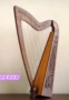 Nhạc cụ nhập khẩu tại Anh harp 22 dây Harp Ailen Celtic đàn hạc cầm tay đàn hạc nhỏ - Nhạc cụ phương Tây trống da