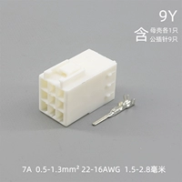 9 -Kong Mother Head