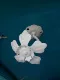 Белый изгибный шест хризантем