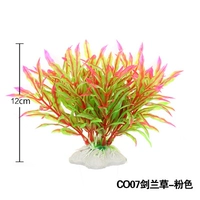 CO07 FUN FAN ORCHIDE CAO