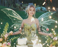 Yang Ying Baby Baby Wing Wing Prop Fairies Fairies вечеринка по случаю вечеринки танце