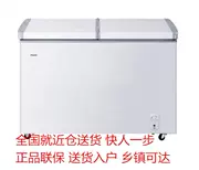 Haier Haier BC BD-273SEA tủ đông lớn tiết kiệm năng lượng cho người tiêu dùng và tủ đông lạnh thương mại - Tủ đông