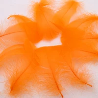 100 корней в оранжевом красном