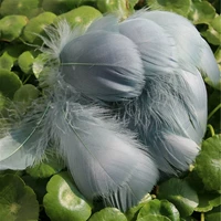 100 корней в светло -коричневого серого зеленого