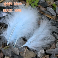 Пятьдесят корней небо голубое легкое небо орхидеи