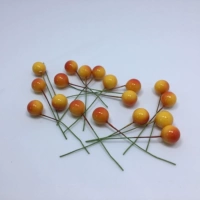 Около 1,0 см15 капсул ягод с апельсиновым симуляцией