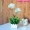 Hàng rào hoa chèn mô phỏng hoa trang trí trang trí hoa giả hoa chụp ảnh prop trang trí nhà phòng khách trang trí - Trang trí nội thất trang tri nha dep
