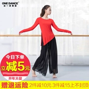 Giáo viên khiêu vũ quần áo nữ Modal body phù hợp với quốc gia cổ điển hiện đại thực hành khiêu vũ quần áo thanh lịch Trung Quốc trang phục múa - Khiêu vũ / Thể dục nhịp điệu / Thể dục dụng cụ