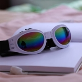 Ветрозащитные модные неоновые солнцезащитные очки, аксессуар
