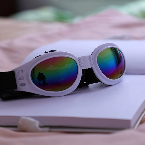 Ветрозащитные модные неоновые солнцезащитные очки, аксессуар