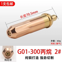 300 Пропионид 2#(5)