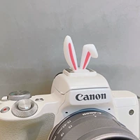 Уши белого кролика горячие ботинки
