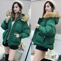 Cổ áo lông thú cotton ngắn nữ 2019 mùa đông mới Hàn Quốc BF nữ lông ngắn xuống bông độn áo khoác - Bông áo phao cổ lông dáng ngắn