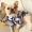Quần áo chó Pháp Pháp Kejibago Bully Mùa xuân và mùa thu Áo phông mỏng Phim hoạt hình Tide Thương hiệu Trang phục hai chân - Quần áo & phụ kiện thú cưng
