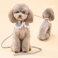 Маленький цветочный с луком и собачьем воротником Тущика