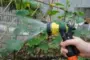 [CR9202 Đài phun nước đa chức năng Kris Đài Loan] làm vườn rửa xe tưới nước vòi tưới cây