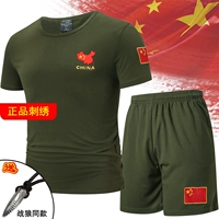 Армейский зеленый набор 609+301