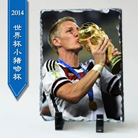 Кубок поцелуев по поцелуям 2014 года 2014 года