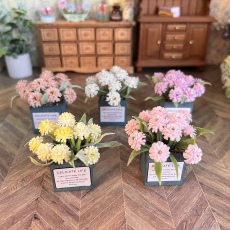 bjd场景道具娃屋 dollhouse微缩植物盆栽娃娃屋场景摆件花盆ob11六分bjd盲盒车内饰