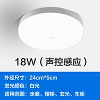 Контроль 18W-голос (индукция на целый день)