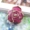 Hàn Quốc nhập khẩu hoa hồng kèn bắt tóc phiên bản Hàn Quốc của clip hoa cỡ trung Liu Hai kẹp tóc lớn kẹp tóc phụ kiện - Phụ kiện tóc