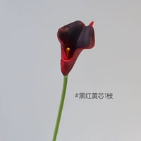 Little Horseshoe Lotus 1 [черный красный/huangxin]