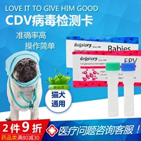 The pet y tế provide the dog favour of the FPSV CD virus check to dog dog tag and dog dog giá máy siêu âm thú y