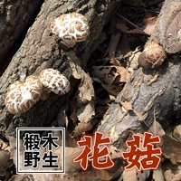 Выбранные цветочные грибы Цинь Лин, 菇 精 精 精 精 精 精 精 精 грибы грибы, самостоятельные фермерские грибы грибы грибы 500 г.