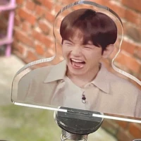 Биан Боксер закричал-2