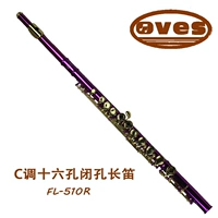 Sáo Ovis FL-510R sáo thử sáo mạ vàng sáo nhạc cụ bắt đầu màu hồng - Nhạc cụ phương Tây dan ghita