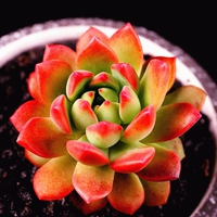 Темно-серый