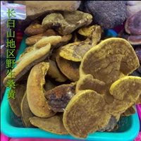 Чанбайская гора Blizzard Martin Sang Yellow Ganoderma lucidum 500 бесплатная доставка