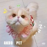 Милый аксессуар, ожерелье, кружевной чокер, нагрудник, шарф с бантиком, слюнявчик