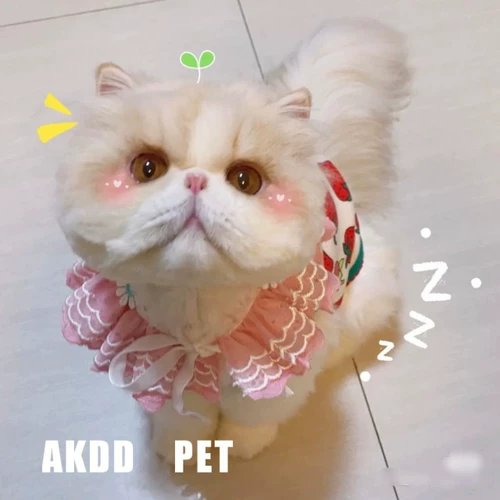 Милый аксессуар, ожерелье, кружевной чокер, нагрудник, шарф с бантиком, слюнявчик