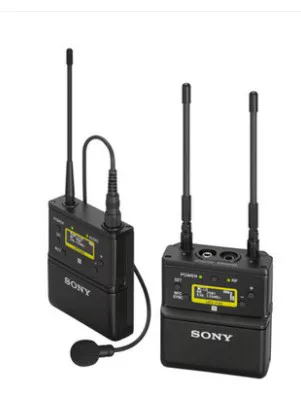 Sony/ Подлинный беспроводной микрофон с аксессуарами, D11, пчела