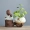 Sáng tạo nước xanh thủy canh chậu hoa tím cát bình nhỏ nhà phòng khách trang trí nhà sư nhỏ trang trí nước bảo tồn Zen mới - Vase / Bồn hoa & Kệ