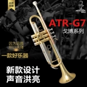 Chính hãng Aibo AMBERG7 nhạc cụ Gobo thả B nhạc cụ kèn chuyên nghiệp kèn pít-tông nhạc kèn - Nhạc cụ phương Tây