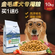 Canxi làm đẹp núi tuyết tự nhiên thịt tươi hạt vàng lông chó trưởng thành thức ăn cho chó 10kg thức ăn cho chó lớn 20 kg - Chó Staples