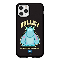 Цвет лотоса