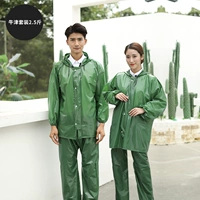 2,5 кот тела (среда) (среда) (модель молнии) 1 набор мужчин и женщин