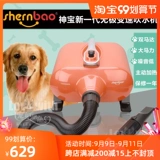 Шэньбао -блюсная водяная машина держит большую собаку Золотой ретривер питомец с высокой домохозяйкой.