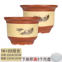 19+22 (повышение 2 горшка)