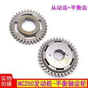 Kẻ trộm cực độ 玛玛 xe địa hình NC250 cân bằng động cơ trục bánh răng - Xe máy Gears