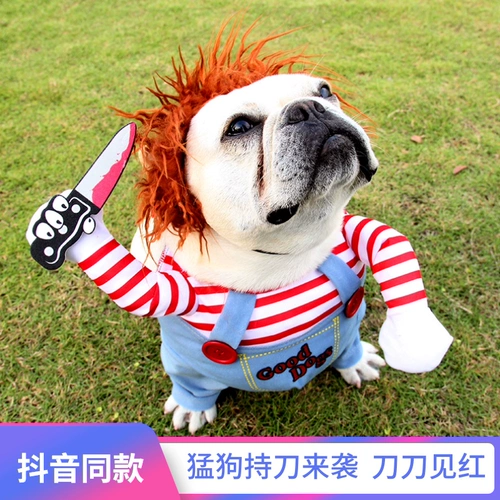 Зын -Саунри, держащий нож собаку, держащий кинжал ножом, корги, сражающийся с плюшевой кошкой Хэллоуин Шиба Ину смешной смешной